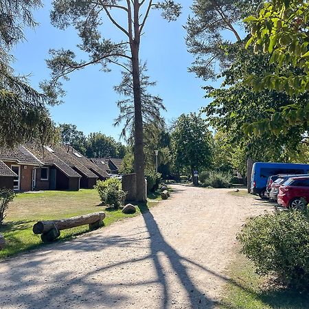 Вилла Urlauberdorf Haus 63D Больтенхаген Экстерьер фото
